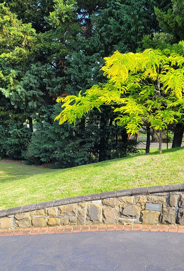 From Gardening to General Home Maintenance — We’ve Got You Covered